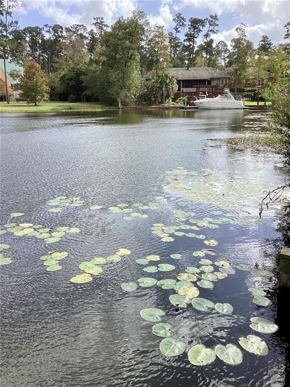 water view