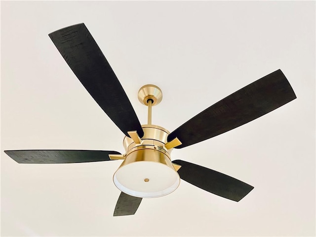 interior details with ceiling fan