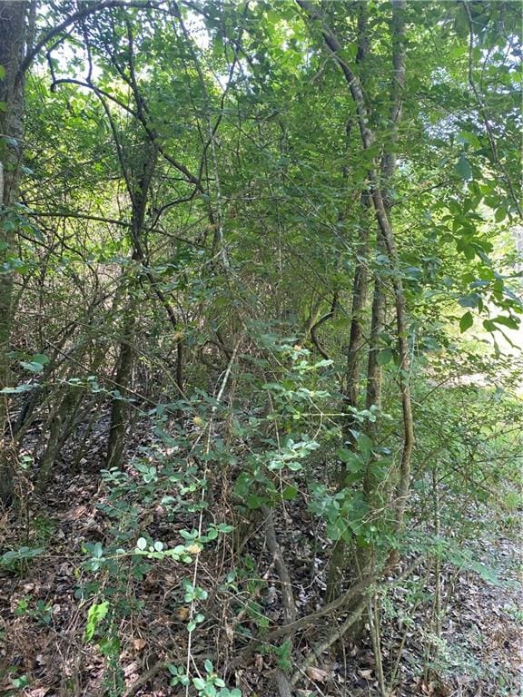 TBD W St, Franklinton LA, 70438 land for sale