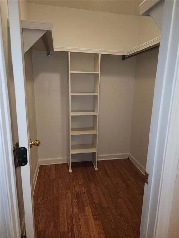 spacious closet with dark wood-type flooring