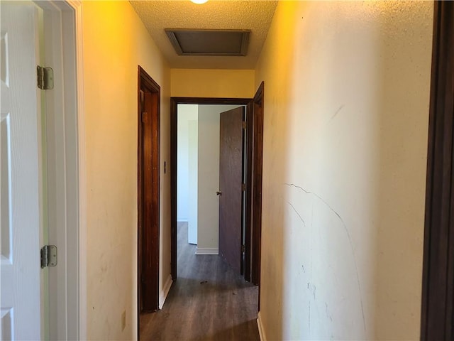 hallway with dark hardwood / wood-style flooring and a textured ceiling