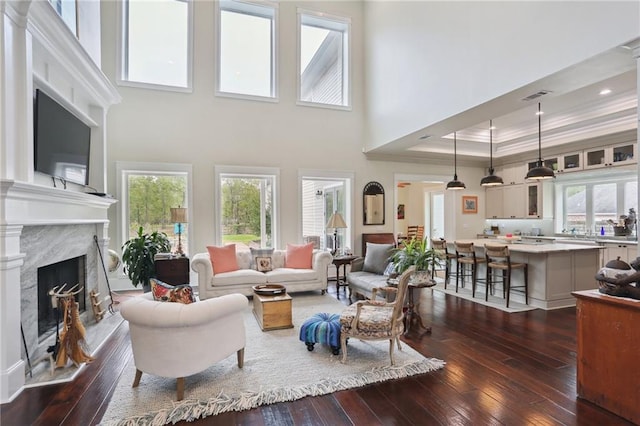 living room with a towering ceiling, a tray ceiling, dark wood-type flooring, and a high end fireplace