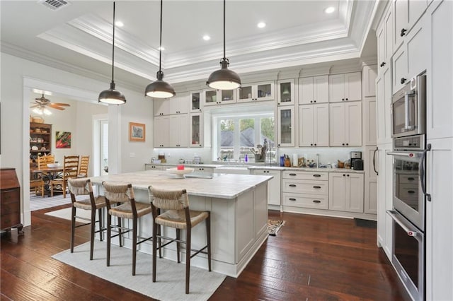 kitchen featuring dark hardwood / wood-style flooring, ceiling fan, a center island, and a raised ceiling