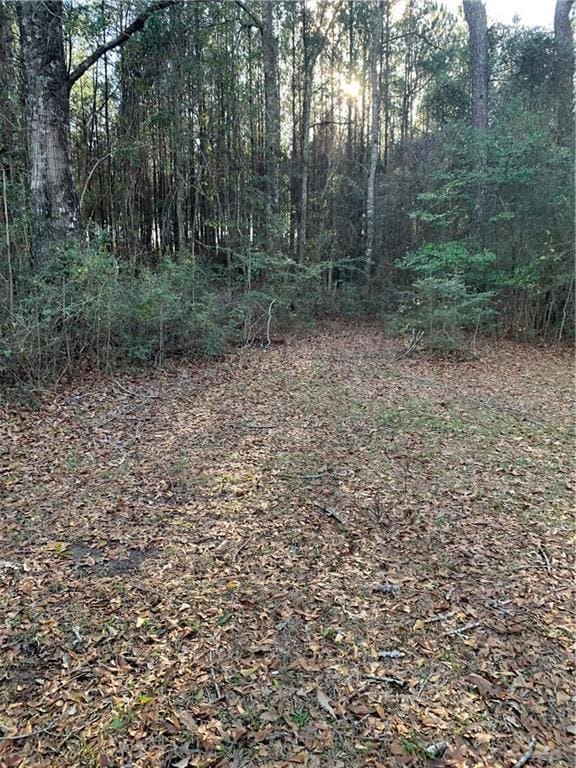 5978 Perryman Ln, Osyka, MS 39657 - view of yard