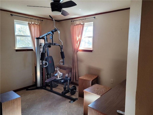 workout room featuring ceiling fan and carpet
