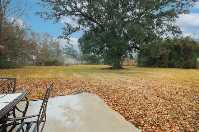 view of yard featuring a patio area