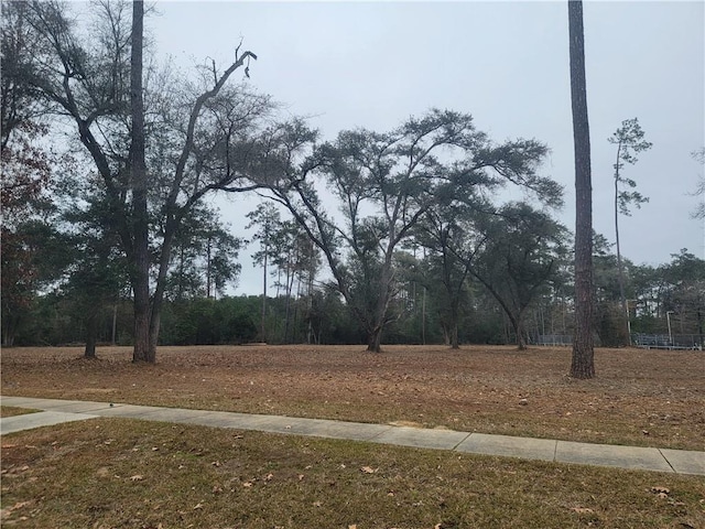 Listing photo 3 for LOT17 Holiday Square Blvd, Covington LA 70433