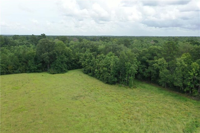 view of local wilderness