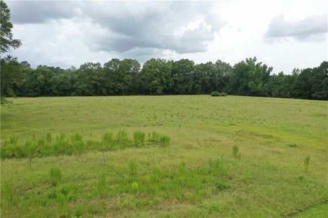 view of local wilderness with a rural view