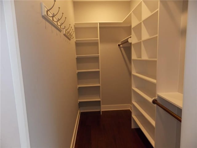 spacious closet featuring dark wood-type flooring