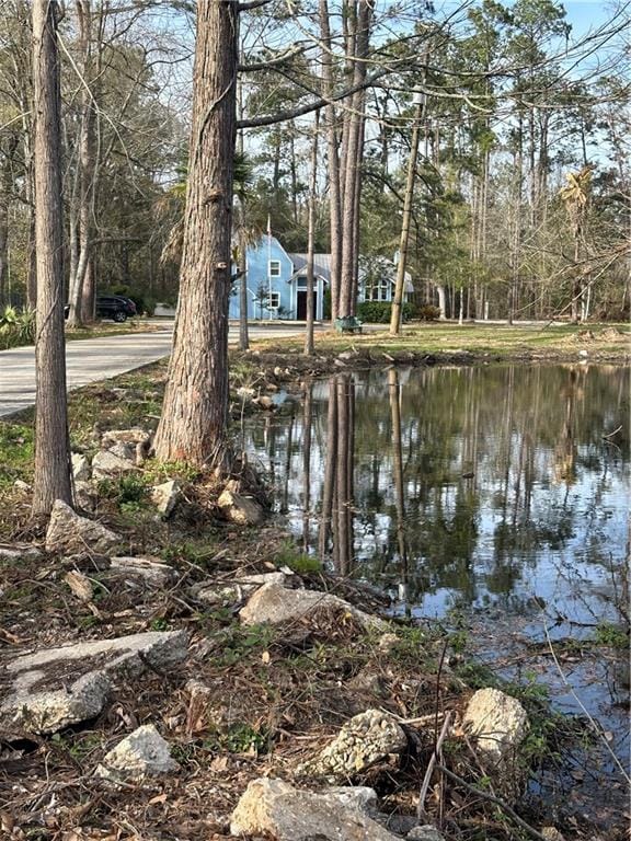 view of property view of water