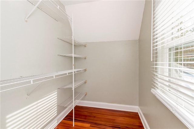 spacious closet featuring hardwood / wood-style flooring