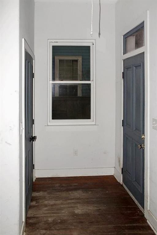 foyer entrance featuring dark hardwood / wood-style floors