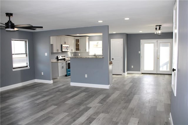 kitchen with hardwood / wood-style flooring, plenty of natural light, ceiling fan, and appliances with stainless steel finishes