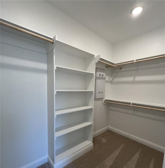 walk in closet with dark colored carpet