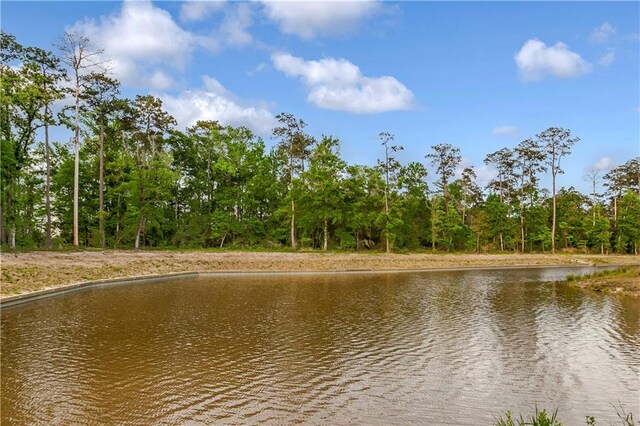 LOT108 1104 Delta Ln, Covington, LA 70433 - photo 19