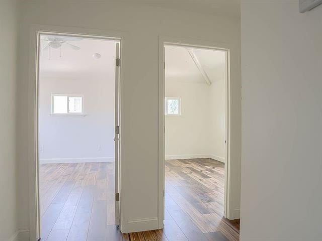 corridor featuring light hardwood / wood-style flooring and plenty of natural light