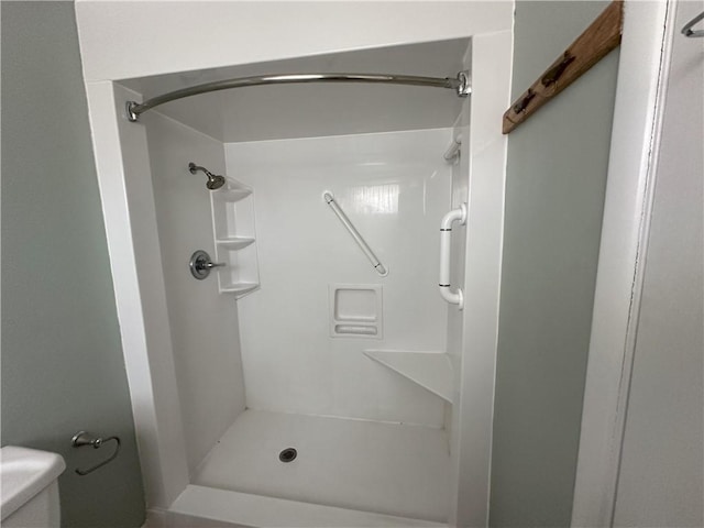 bathroom with a shower and toilet