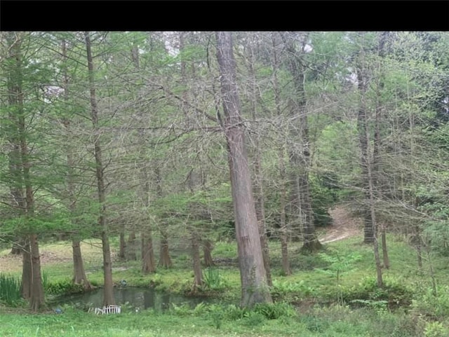 view of nature with a water view