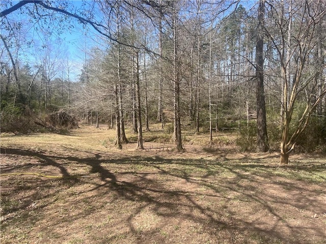 view of local wilderness