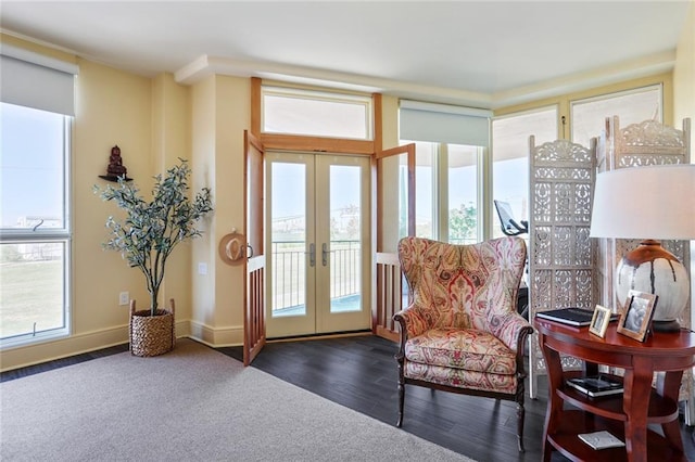 entryway featuring dark wood-type flooring and french doors