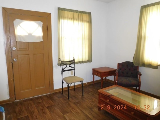 entrance foyer featuring dark hardwood / wood-style flooring and a wealth of natural light