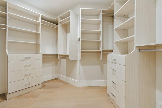 walk in closet with light hardwood / wood-style flooring