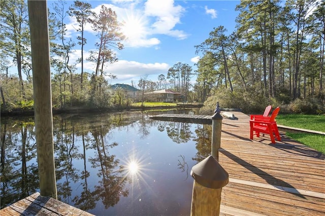 dock area featuring a water view