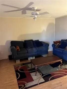 living room with ceiling fan and hardwood / wood-style flooring