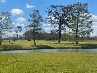 view of surrounding community