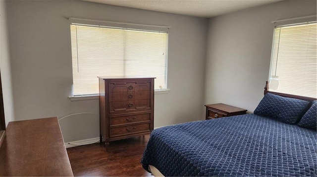 bedroom with multiple windows and dark hardwood / wood-style flooring