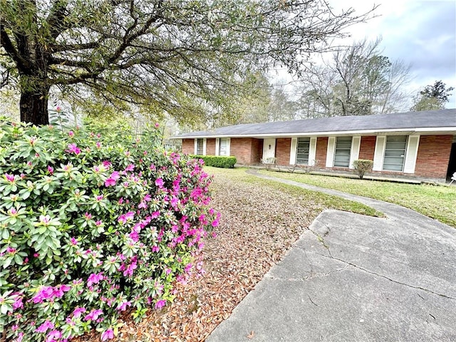 view of front of house with a front lawn