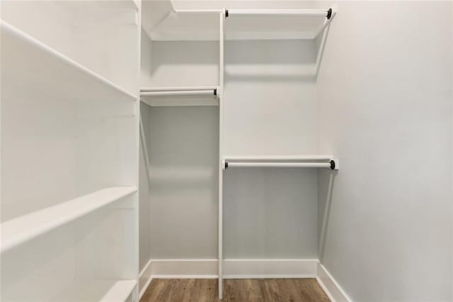 spacious closet with wood-type flooring