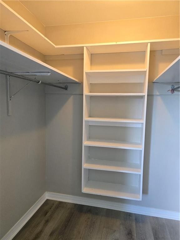 walk in closet with wood-type flooring