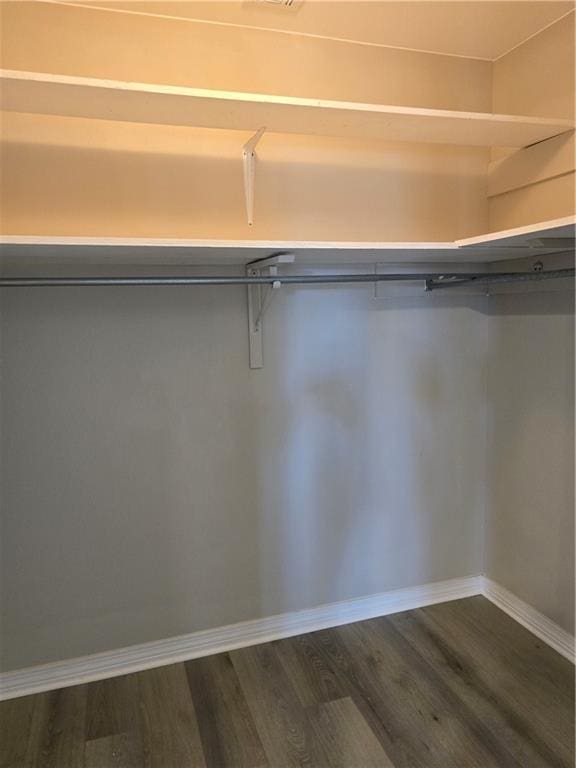 spacious closet featuring dark wood-type flooring