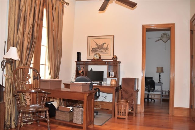 office featuring dark hardwood / wood-style flooring and ceiling fan