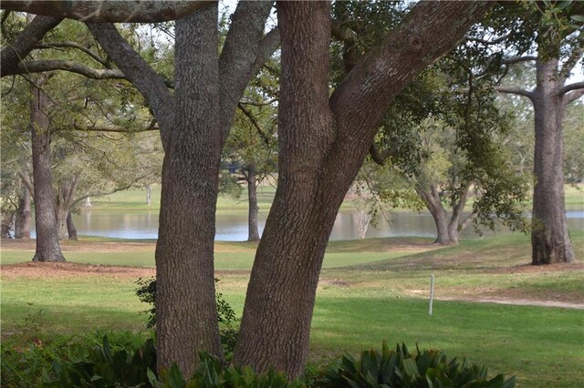 view of property's community with a water view and a lawn