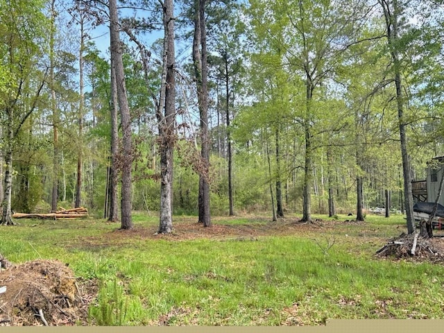 31581 River Pines Dr, Springfield LA, 70462 land for sale