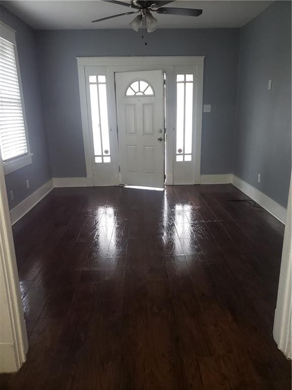 entrance foyer featuring ceiling fan, dark hardwood / wood-style floors, and a wealth of natural light