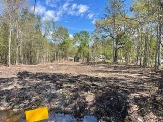 Carroll St, Mandeville LA, 70448 land for sale