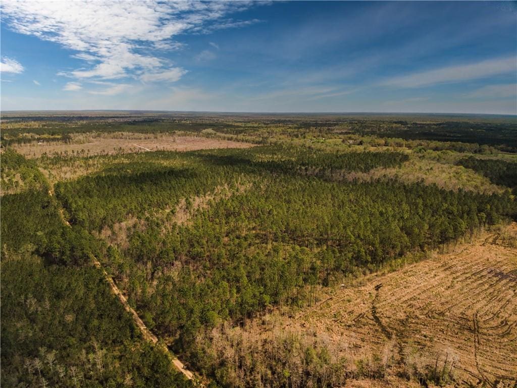 000 Lovern Rd, Pearl River, LA 70452 - photo 1