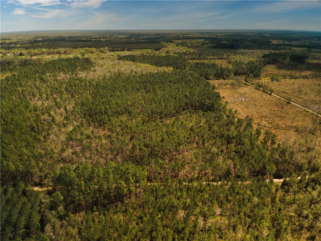 000 Lovern Rd, Pearl River, LA 70452 - photo 3