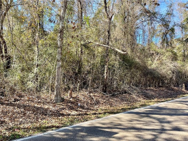 Listing photo 2 for 9.45ACRES Robert Rd, Pearl River LA 70452