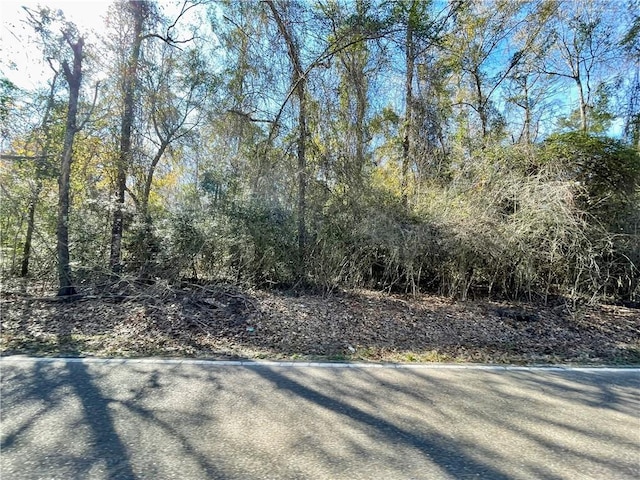 Listing photo 3 for 9.45ACRES Robert Rd, Pearl River LA 70452