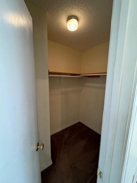 spacious closet featuring dark carpet