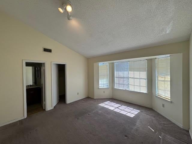 carpeted empty room featuring a textured ceiling, a healthy amount of sunlight, and lofted ceiling