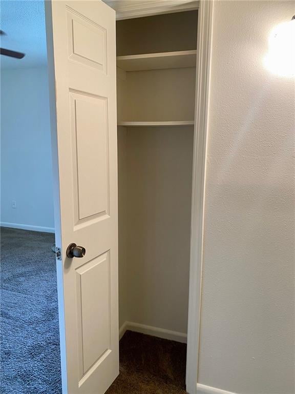 view of closet