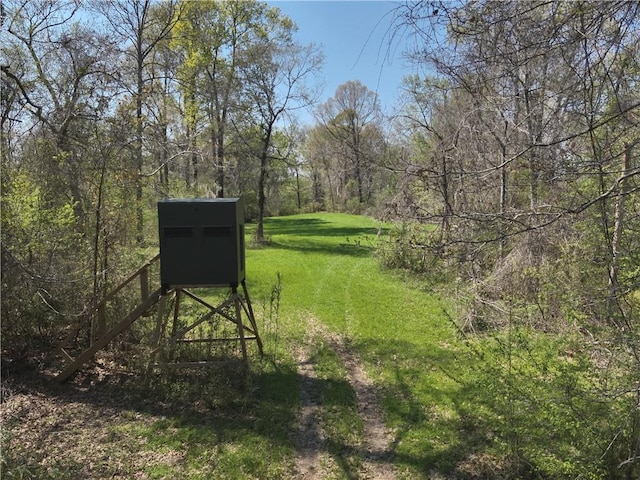 8730 Grand Gulf Rd, Port Gibson, MS 39150 - photo 1