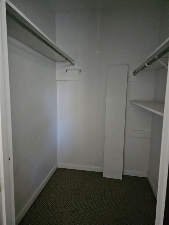 spacious closet with dark colored carpet