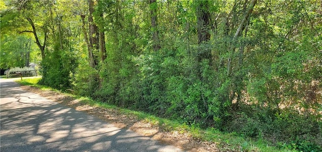 81081 L Crawford Rd, Bush LA, 70431 land for sale